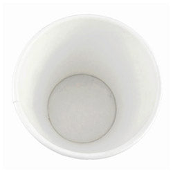 Paper Hot Cups
